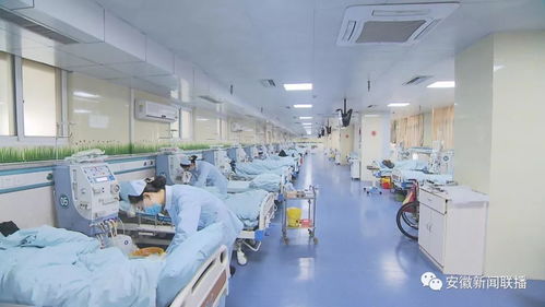 安徽開(kāi)展省屬公立醫(yī)療機(jī)構(gòu)部分常用藥及第二批抗癌藥集中帶量采購(gòu)議價(jià)政策解讀